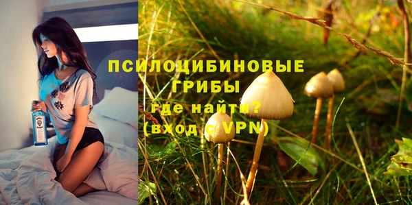 mdpv Горняк