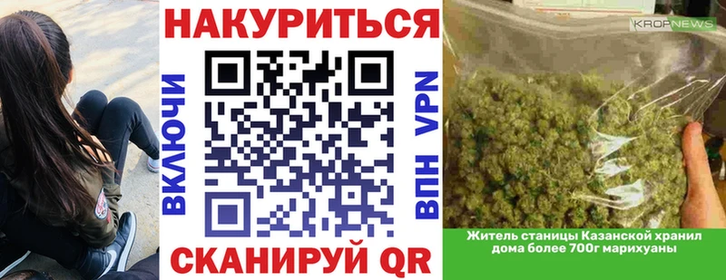 где найти Жигулёвск Канабис гибрид
